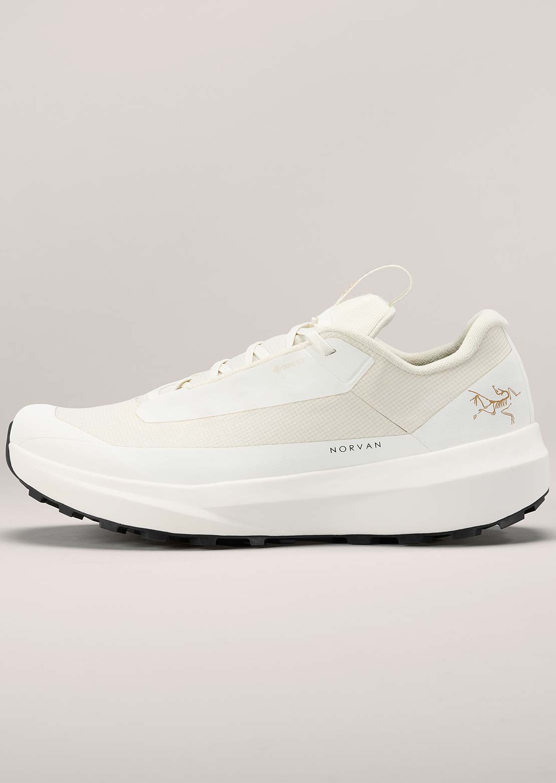Arc'teryx Women's Norvan LD 4 GTX Shoes Arctic Silk/Arctic Silk