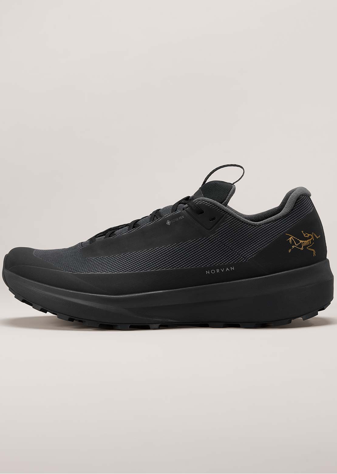Arc'teryx Women's Norvan LD 4 GTX Shoes  Black/Black