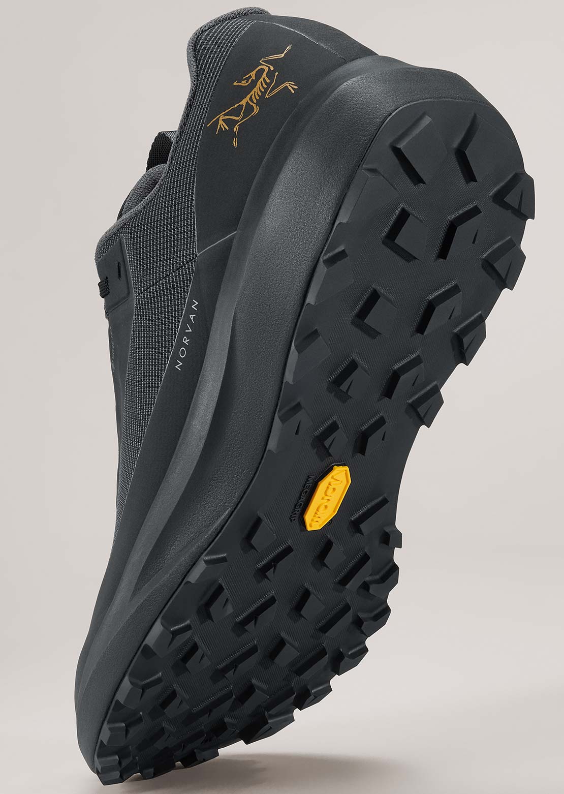 Arc'teryx Women's Norvan LD 4 GTX Shoes  Black/Black