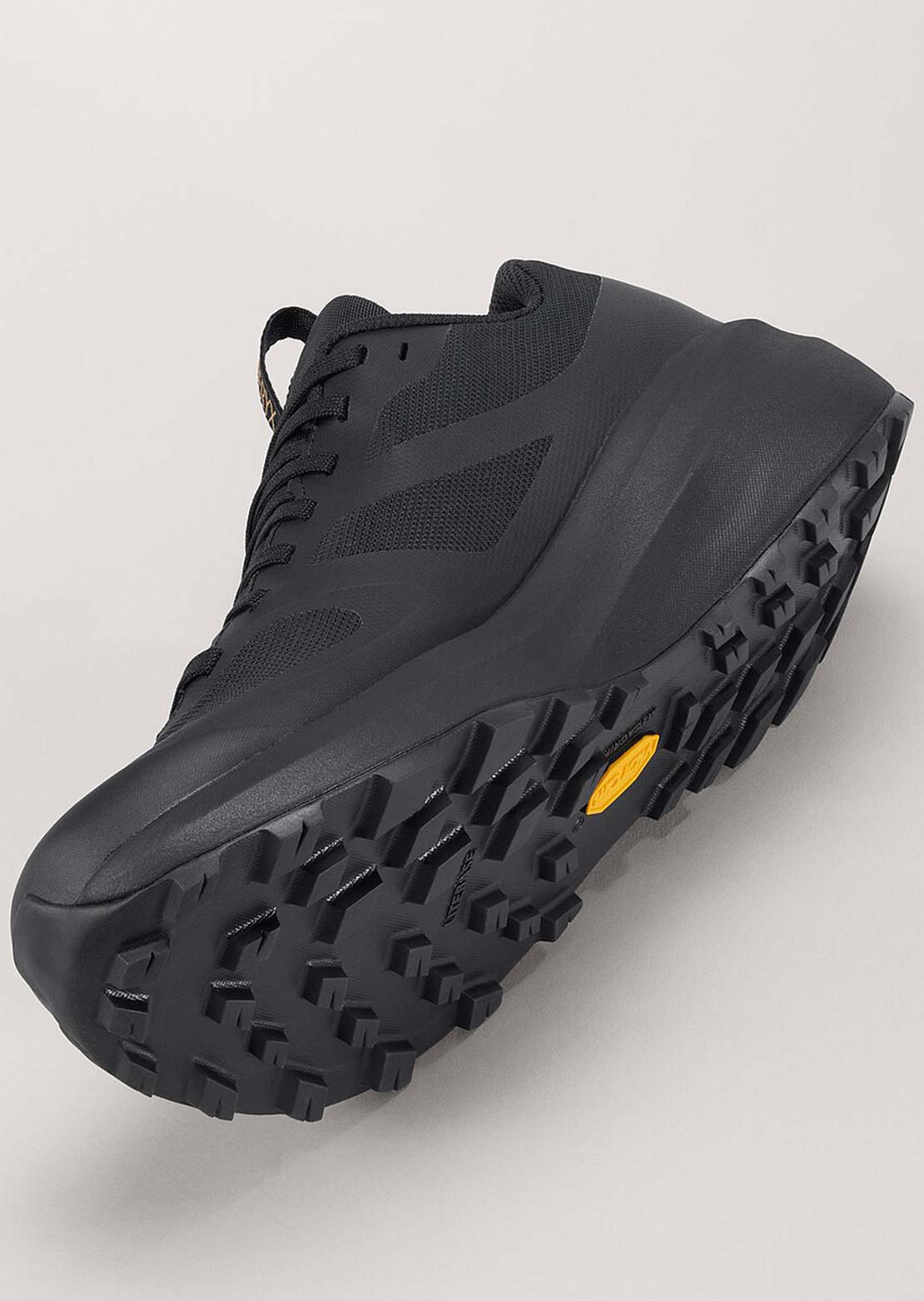 Arc&#39;teryx Women&#39;s Norvan LD3 GTX Shoes
