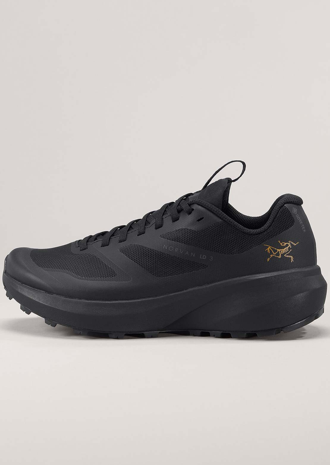 Arc&#39;teryx Women&#39;s Norvan LD3 GTX Shoes