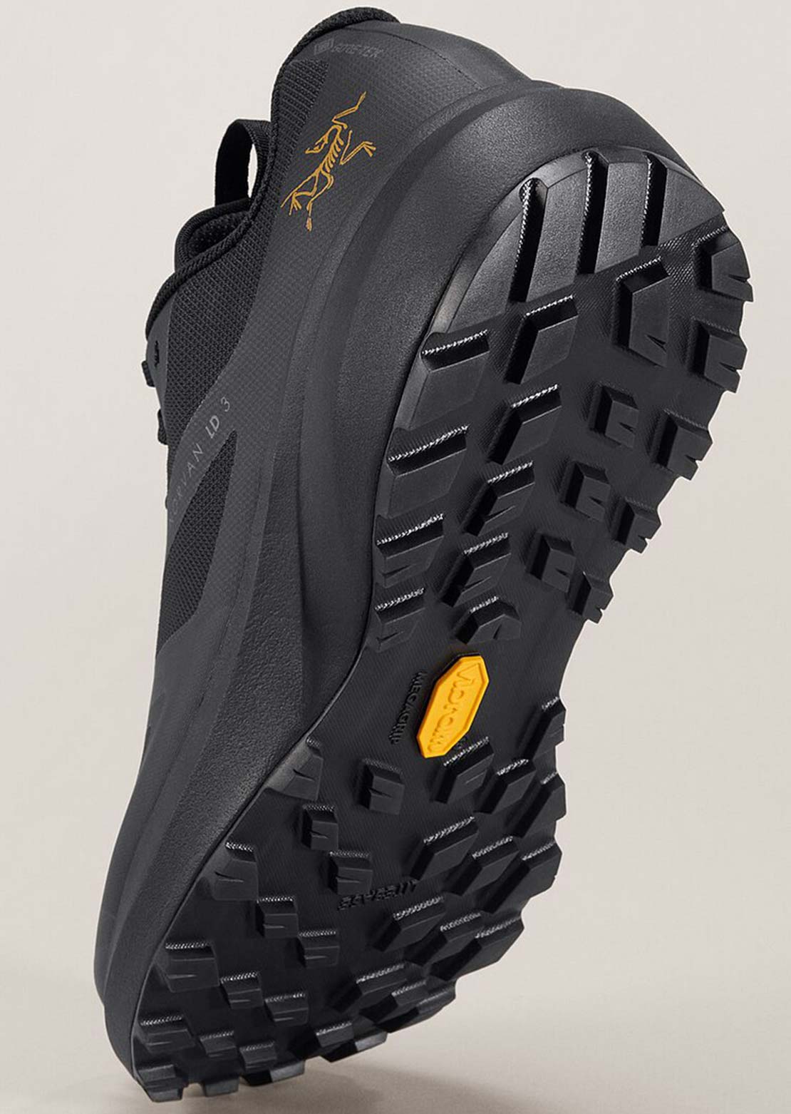 Arc&#39;teryx Women&#39;s Norvan LD3 GTX Shoes
