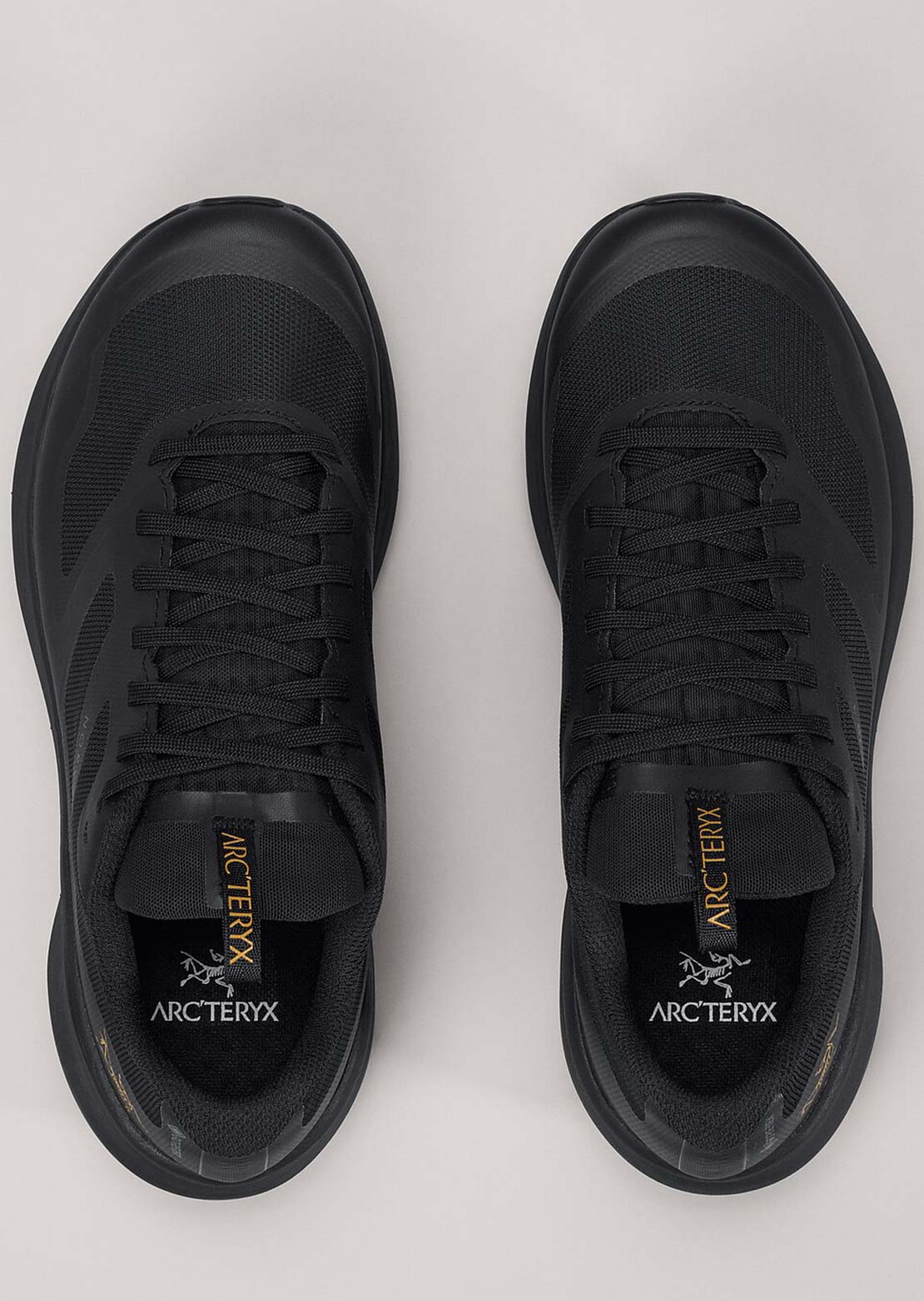 Arc&#39;teryx Women&#39;s Norvan LD3 GTX Shoes