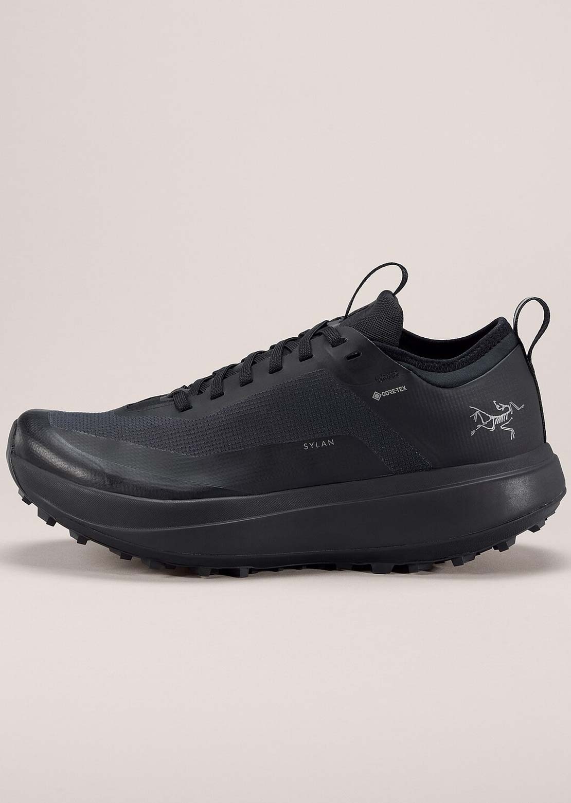 Arc&#39;teryx Women&#39;s Sylan GORE-TEX Shoes Black/Black