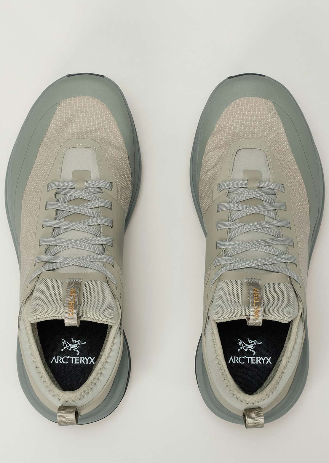 Arc'teryx Women's Sylan GTX Shoes Lt Forage/Forage
