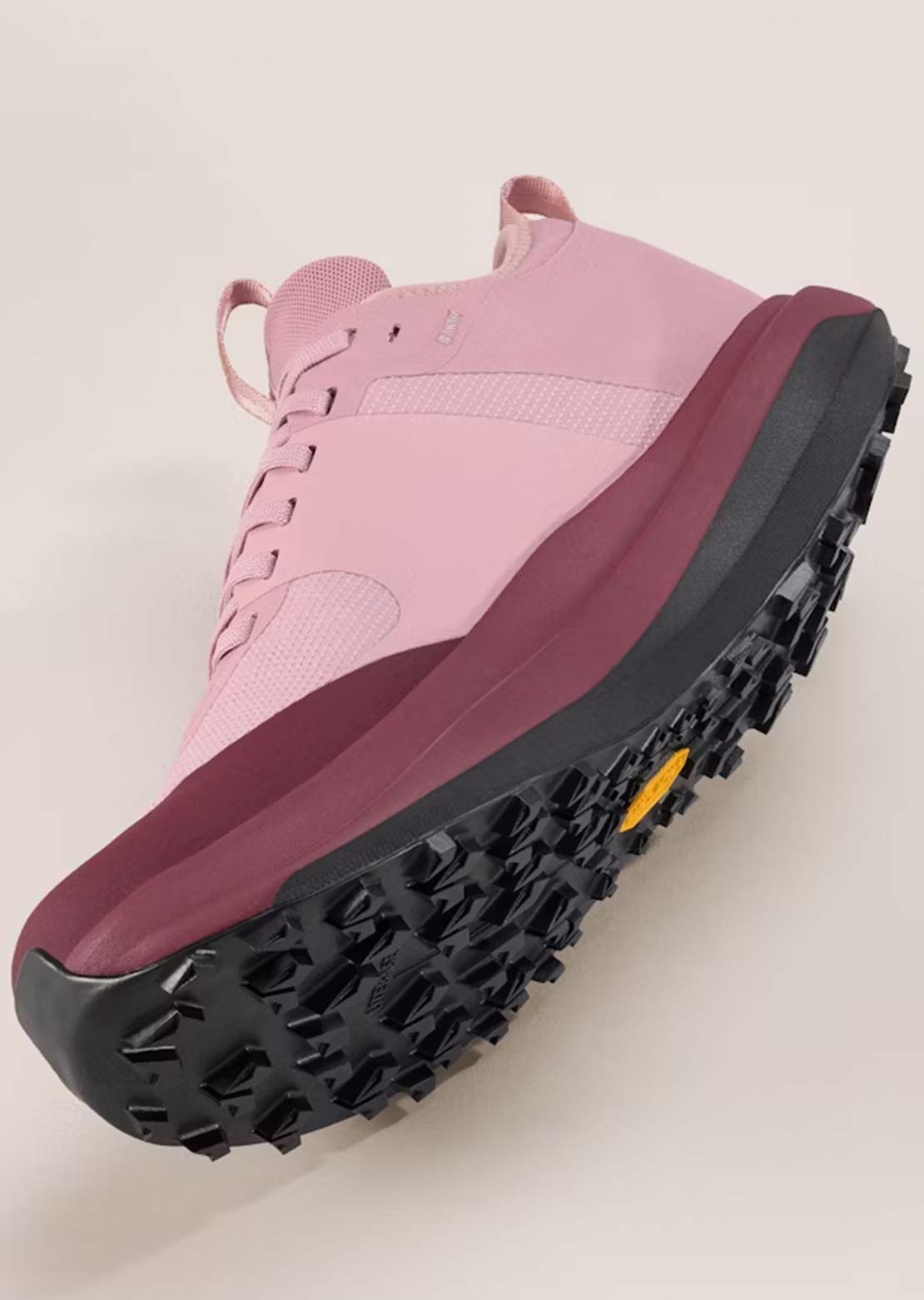 Arc'teryx Women's Sylan GTX Shoes Dark Bliss/Mars
