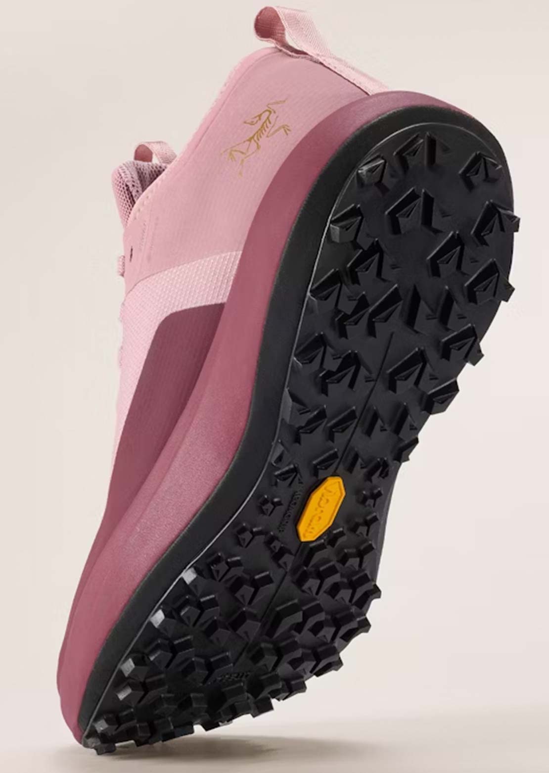 Arc'teryx Women's Sylan GTX Shoes Dark Bliss/Mars