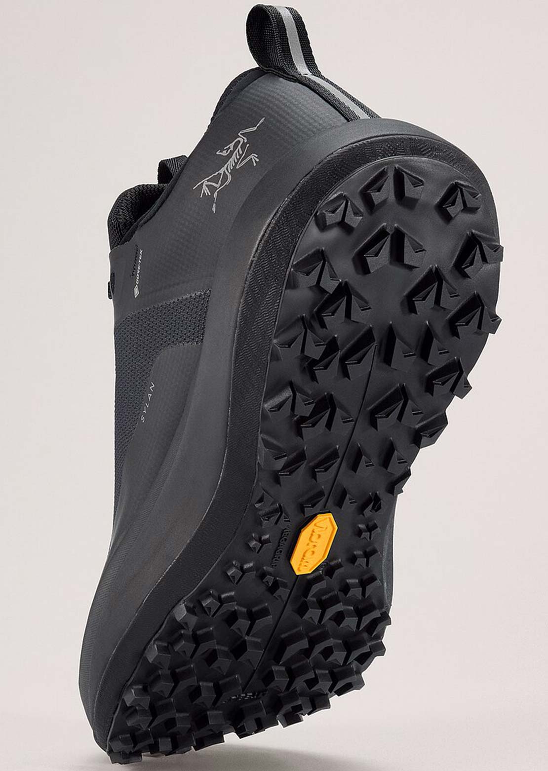 Arc'teryx Women's Sylan GTX Shoes Black/Black