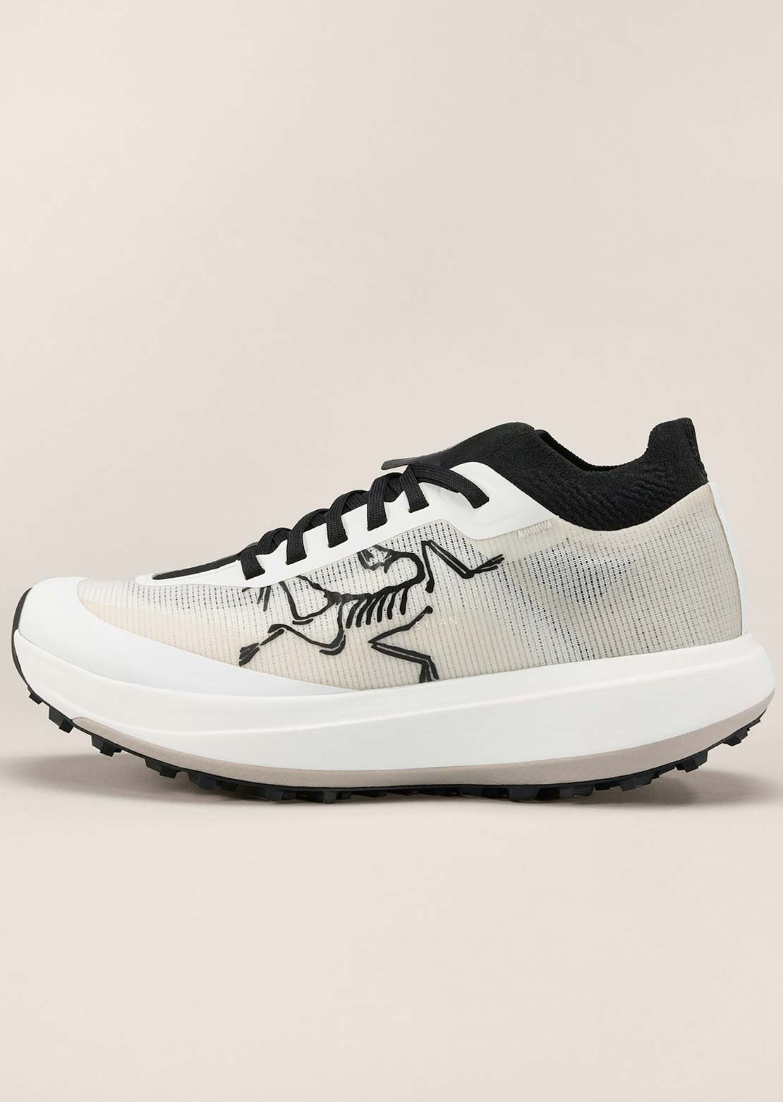 Arc'teryx Women's Sylan Pro Shoes Arctic Silk/Arctic Silk
