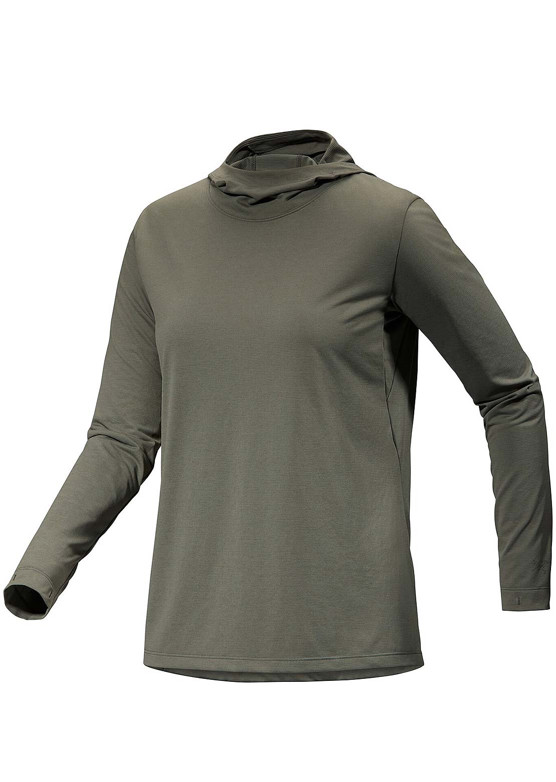 Arc&#39;teryx Women&#39;s Taema Hood Forage Heather