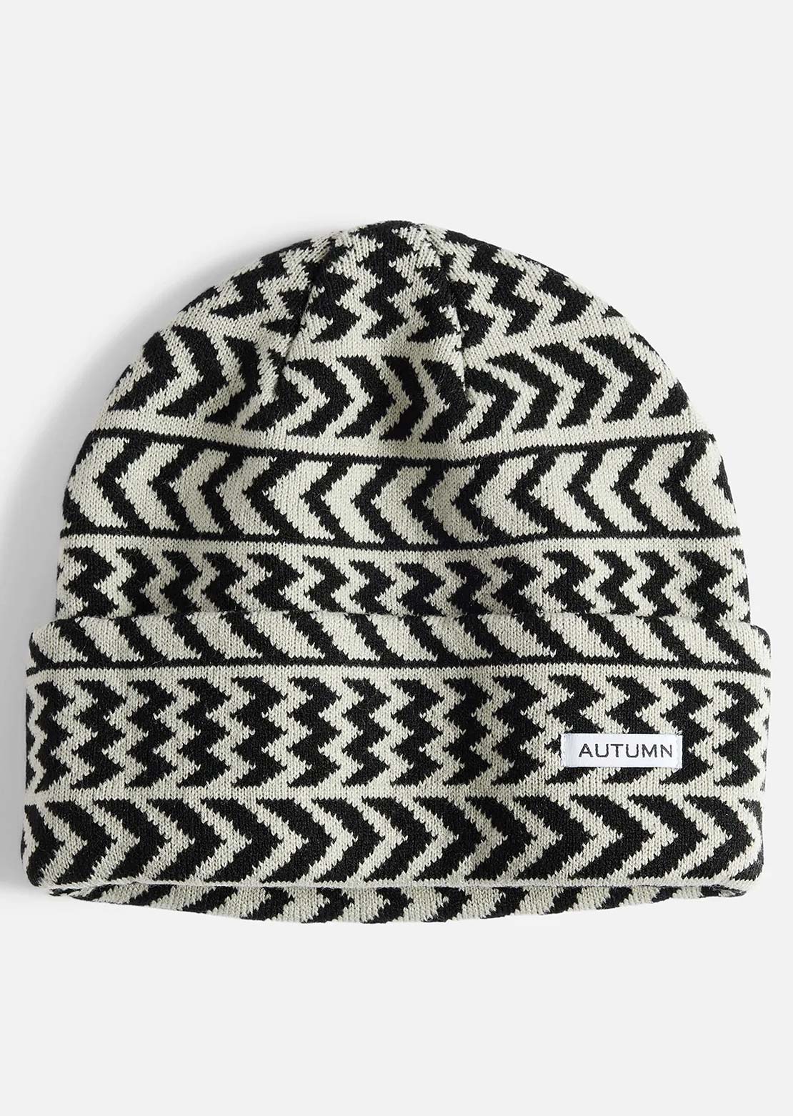 Autumn Men's Chevron Beanie Iceburg