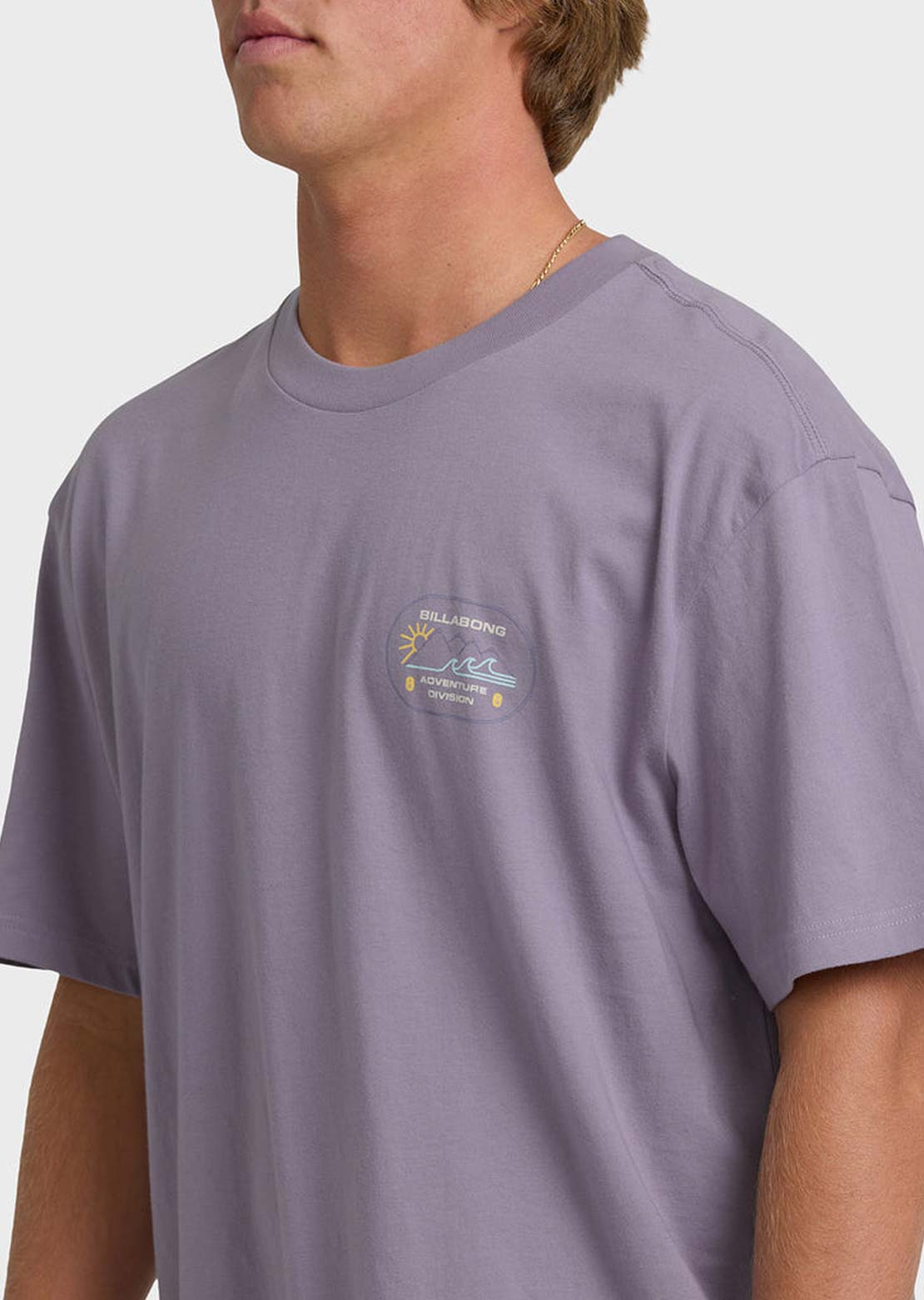 Billabong Men's Andes Adiv Premium T-Shirt Purple Ash