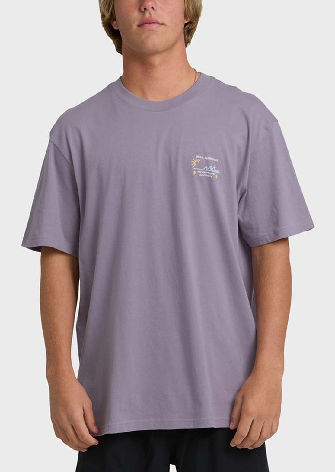 Billabong Men's Andes Adiv Premium T-Shirt Purple Ash
