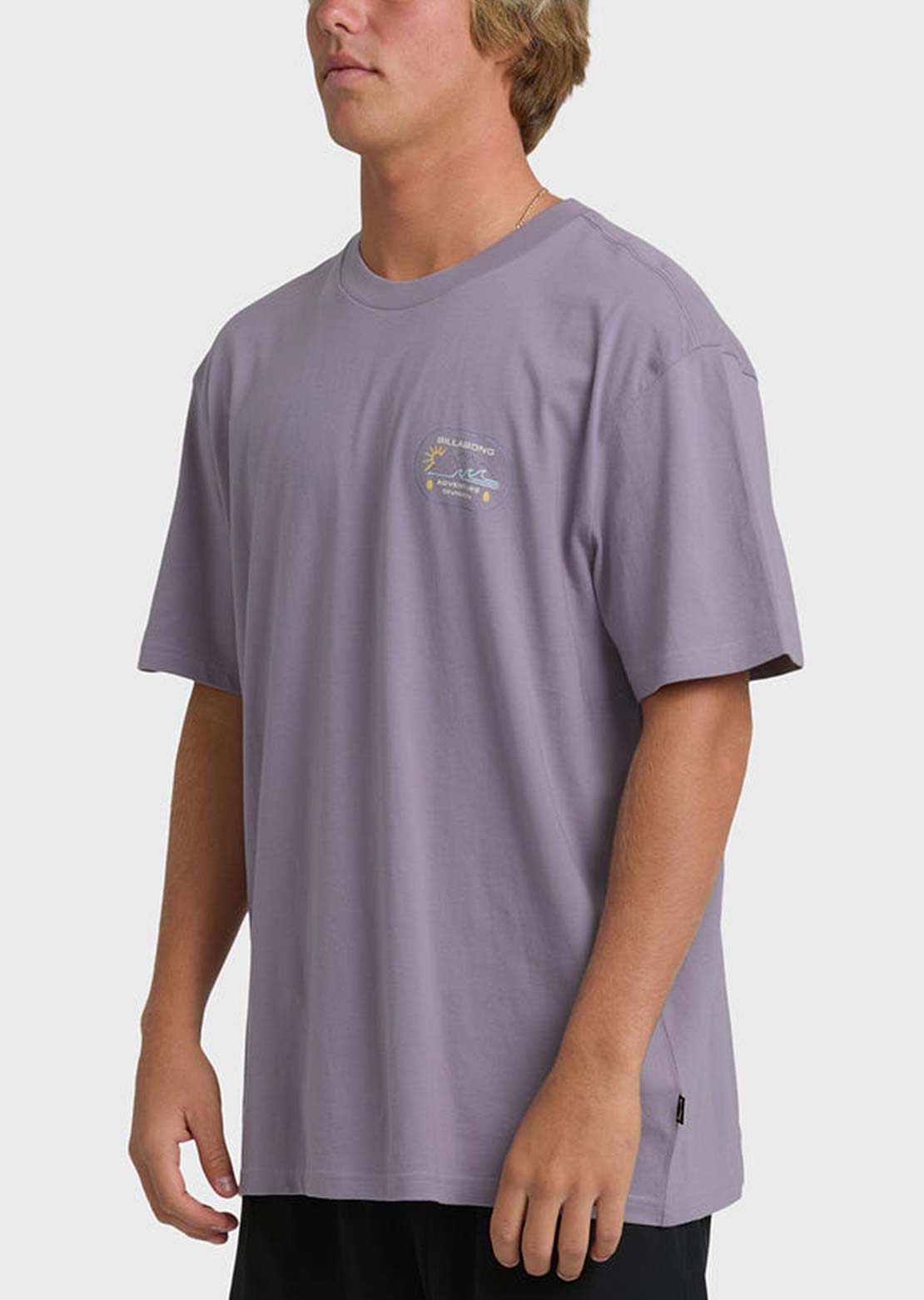 Billabong Men's Andes Adiv Premium T-Shirt Purple Ash