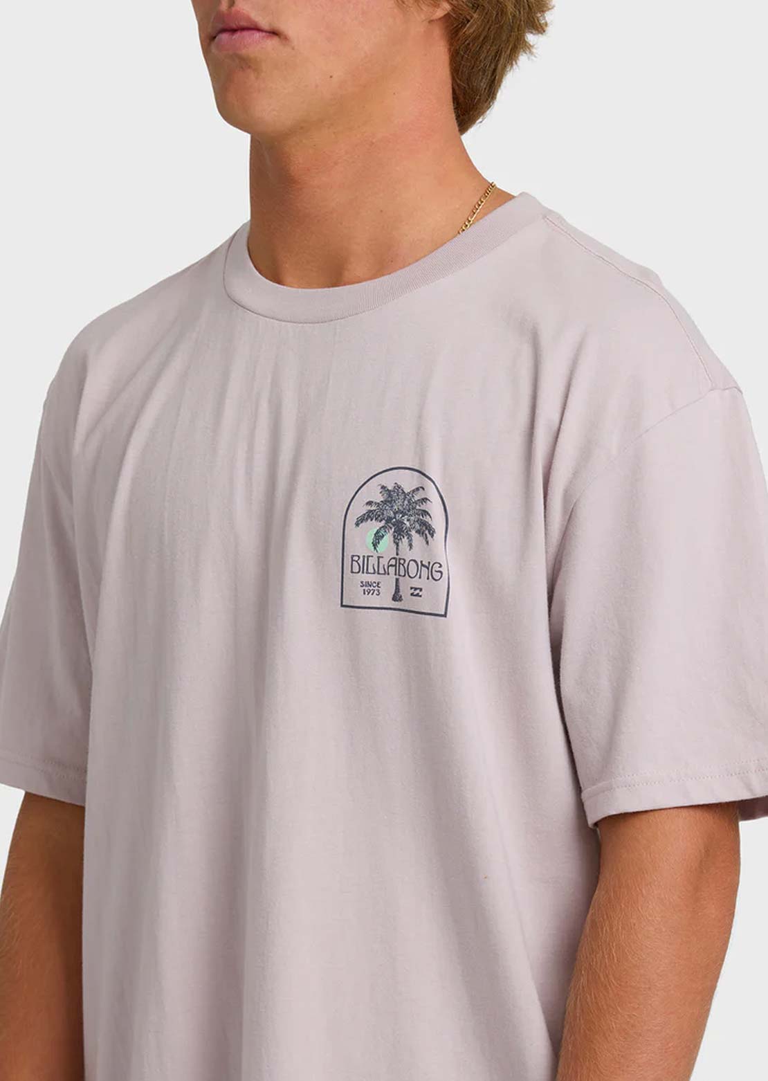 Billabong Men's Portal Premium T-Shirt Dusty Purple