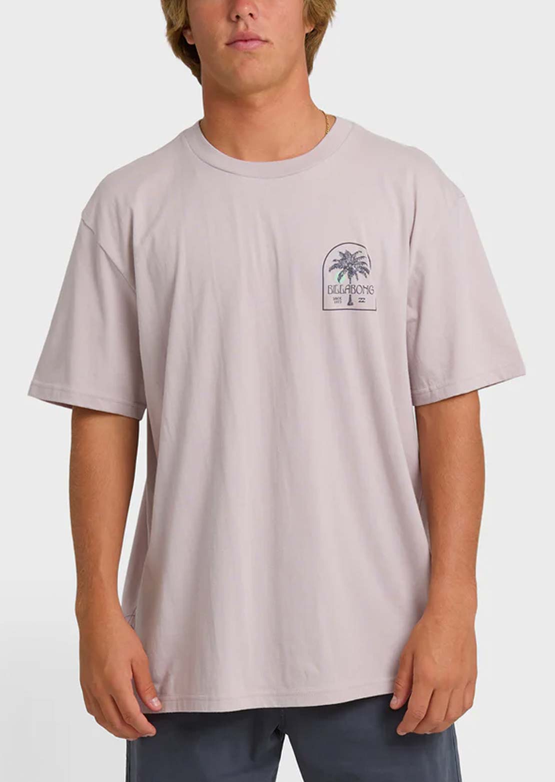 Billabong Men's Portal Premium T-Shirt Dusty Purple