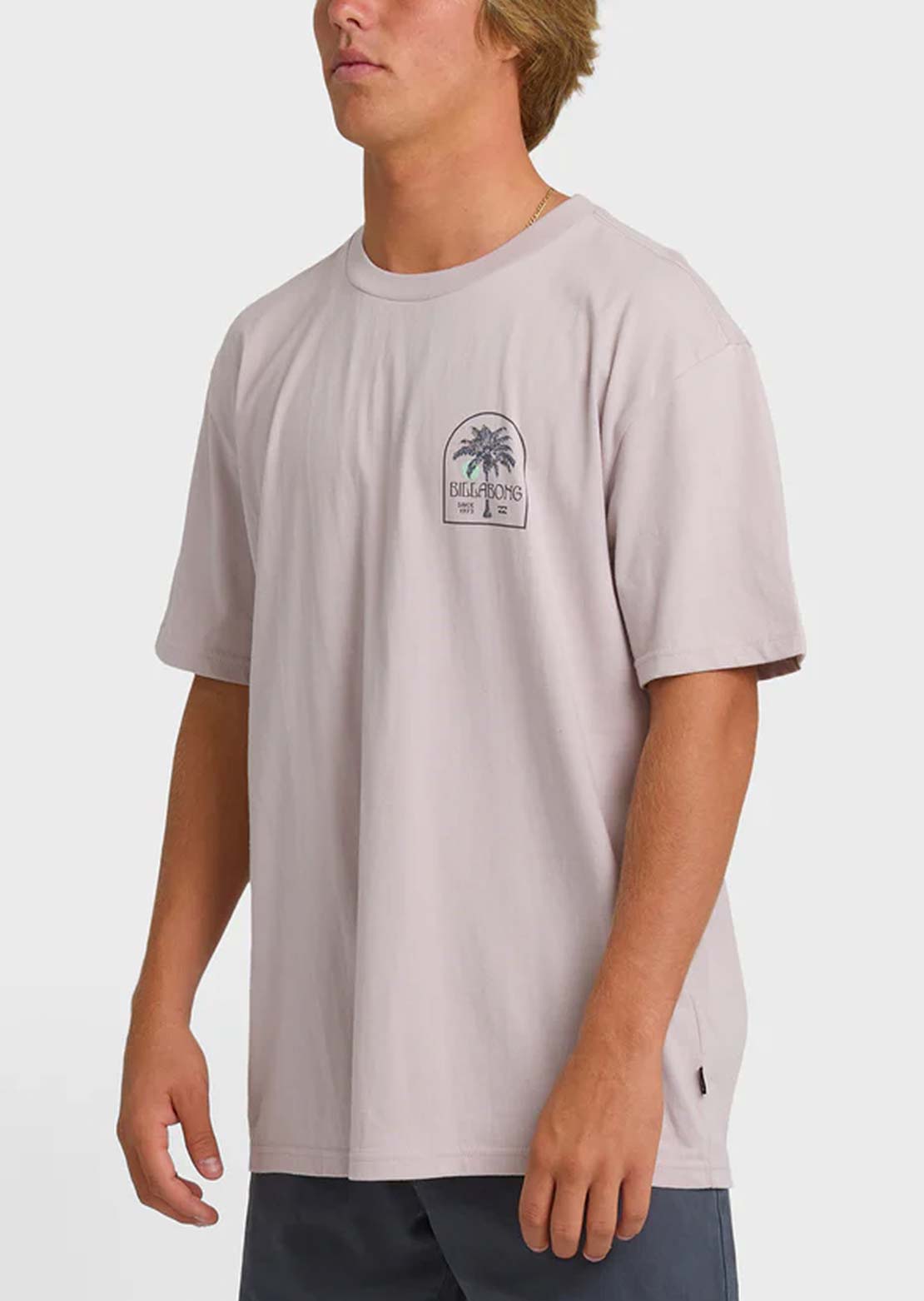 Billabong Men's Portal Premium T-Shirt Dusty Purple
