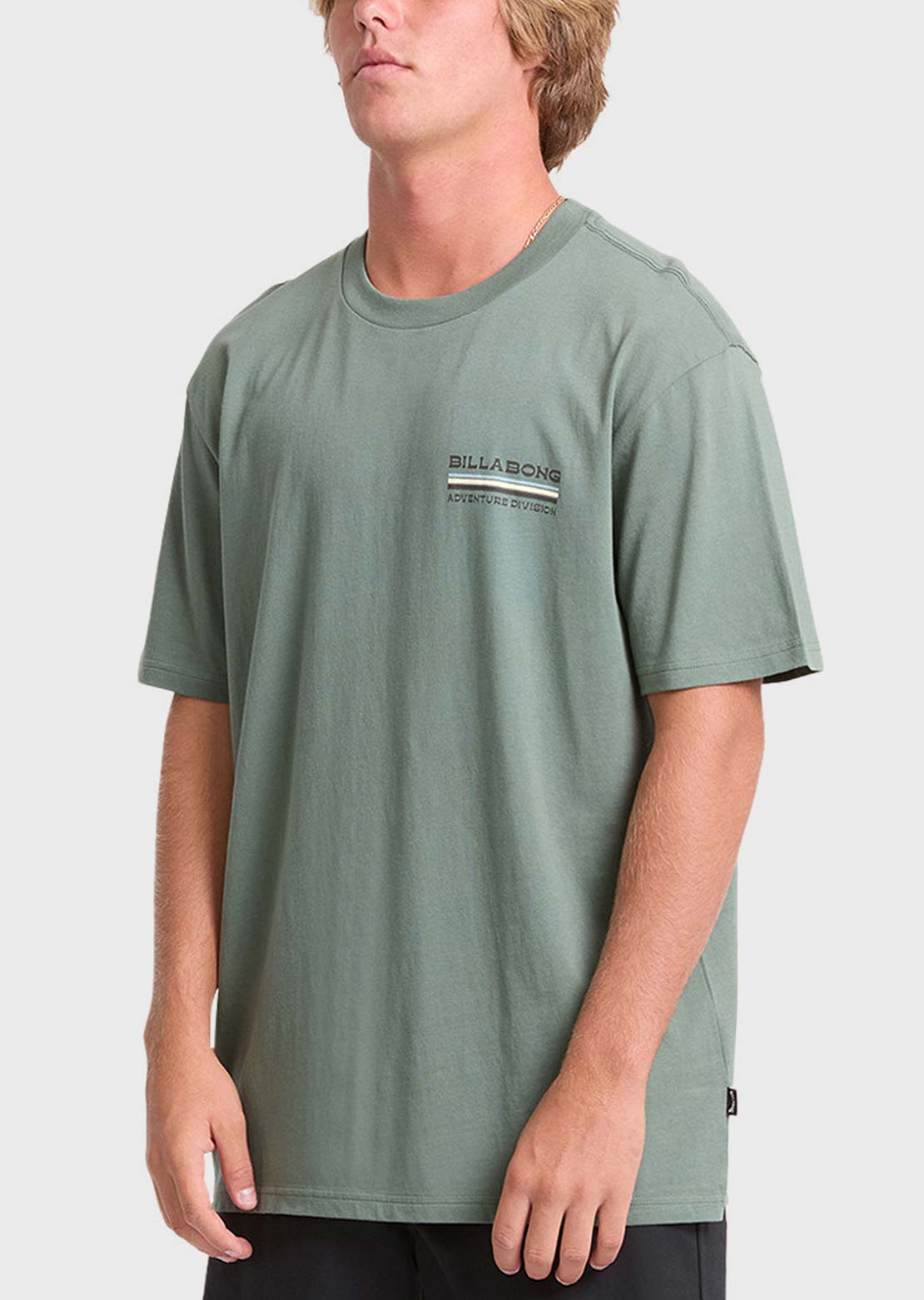 Billabong Men's State Park Adiv Premium T-Shirt Laurel Wreath