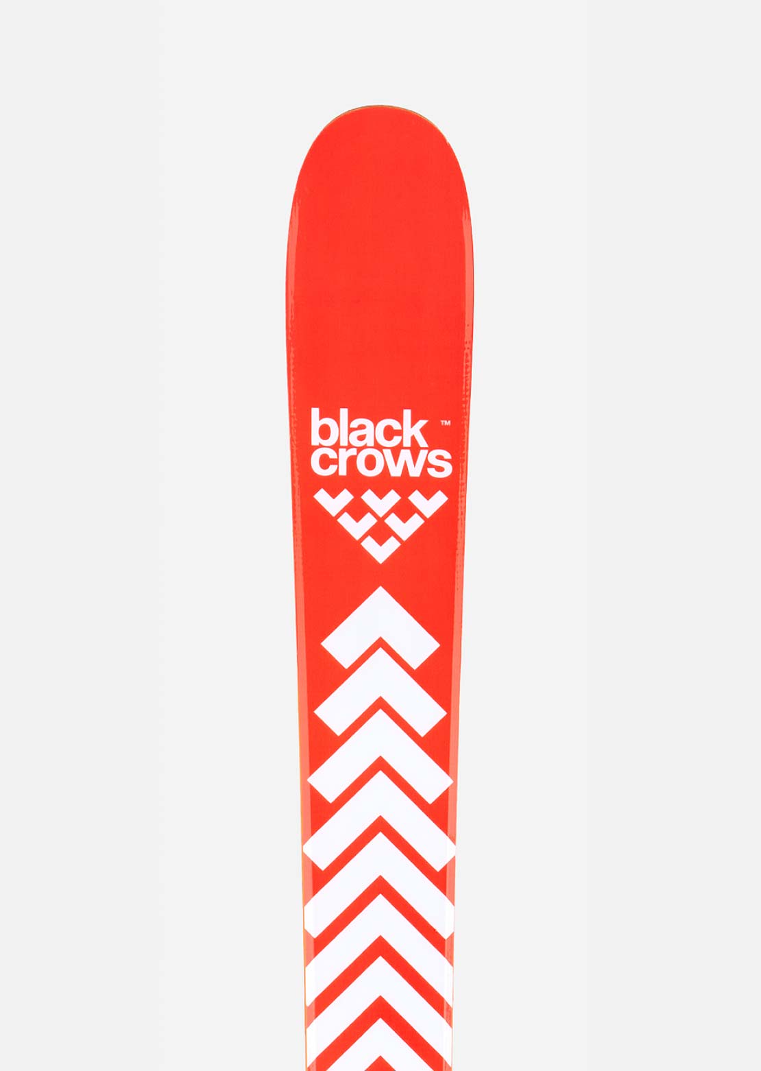 Black Crows Women's Camox Birdie Ski Salmon