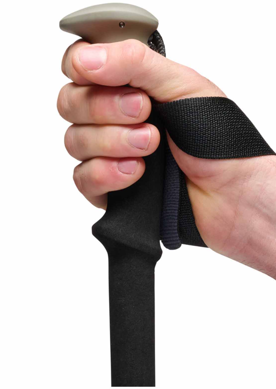 Black Diamond Trail Trekking Poles Pine Smoke