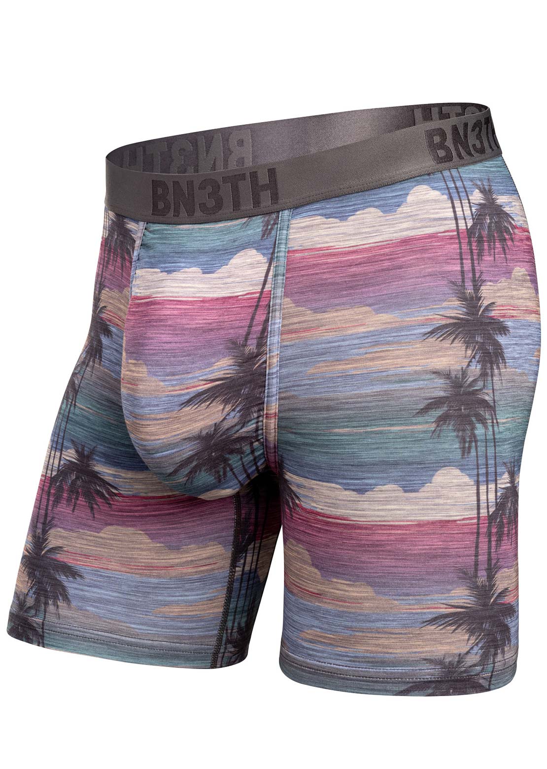 BN3TH Men's Classic Icon PT Brief Boxers Palm Tree Horizon Heather