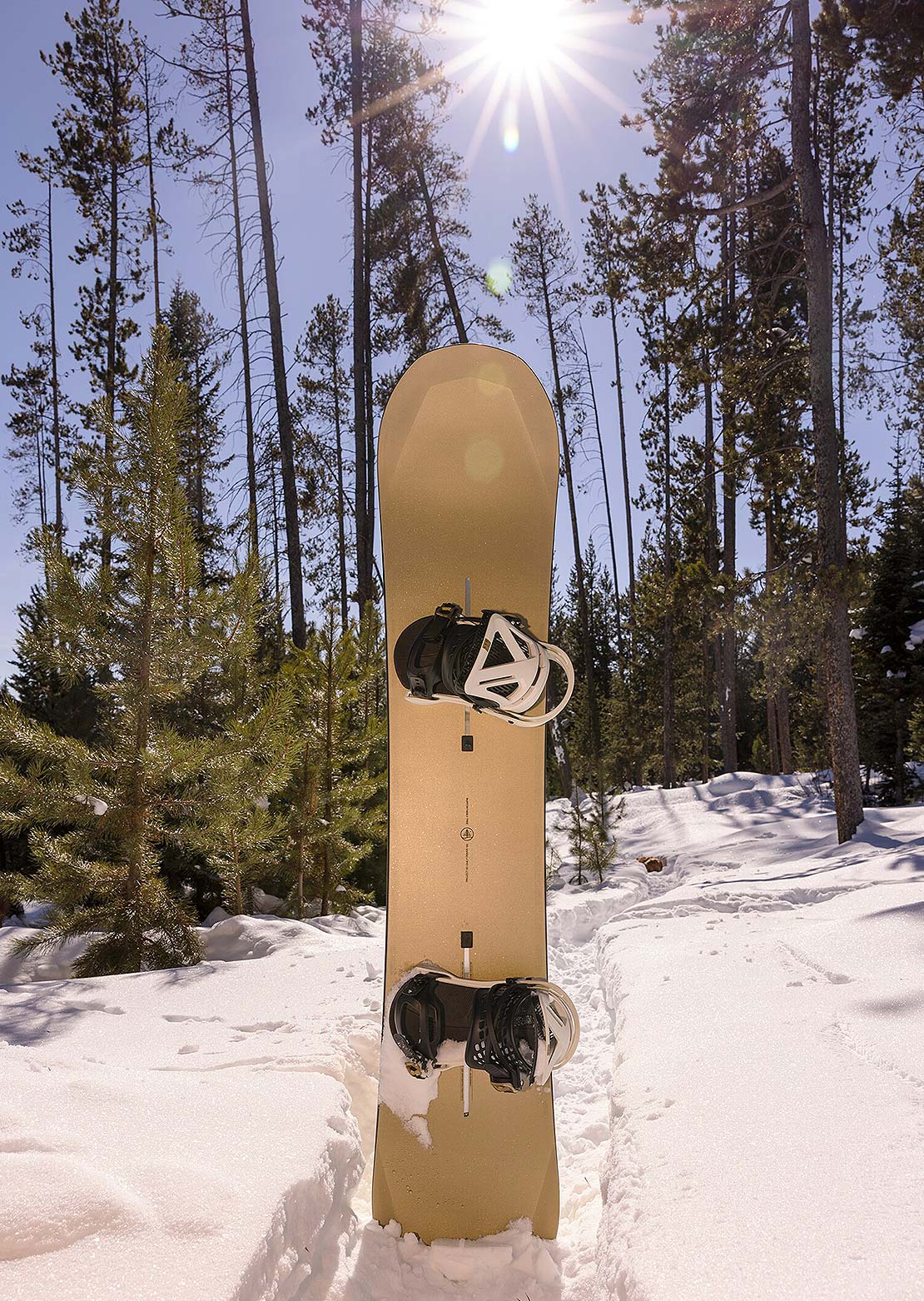 Burton Unisex Family Tree 3D Daily Driver Snowboard - PRFO Sports