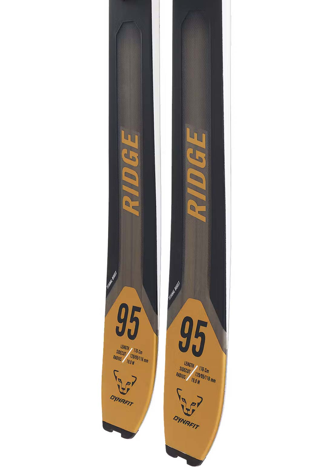 Dynafit Unisex Ridge 95 Ski