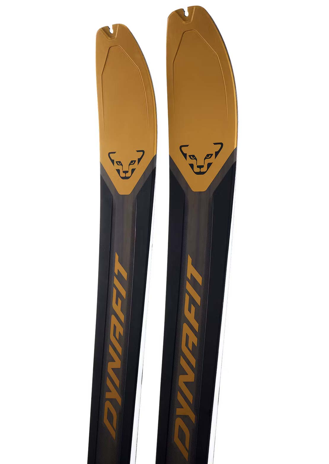 Dynafit Unisex Ridge 95 Ski