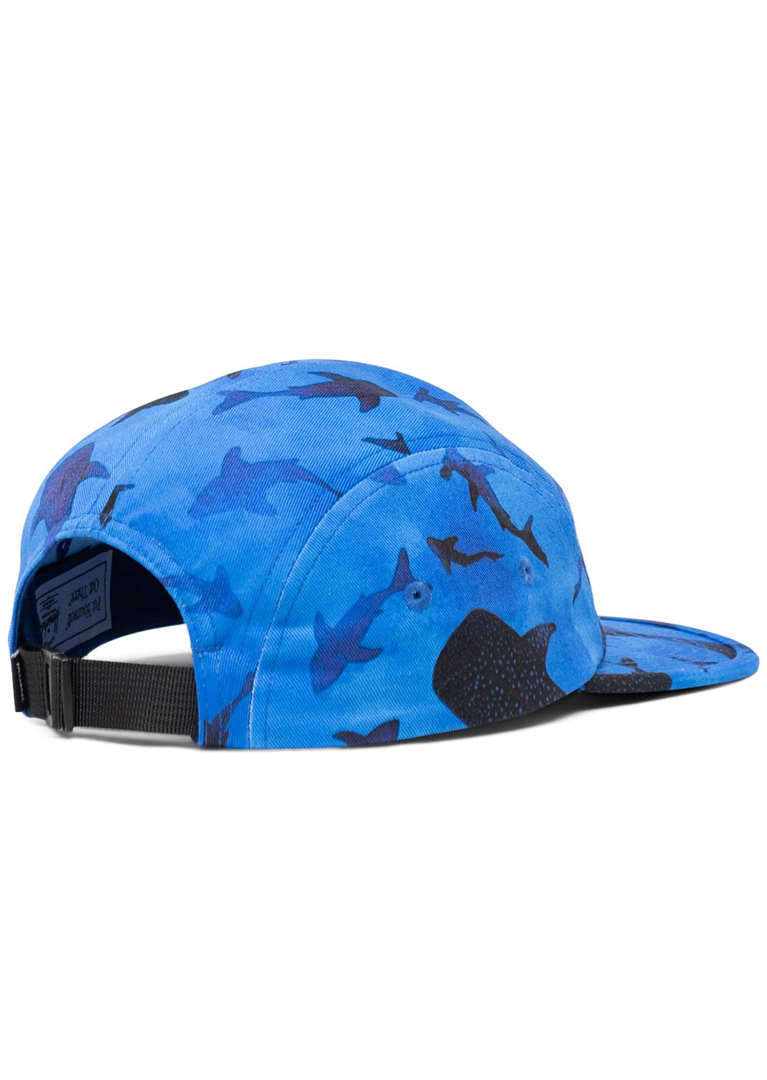 Herschel Junior Glendale Cap Sharks