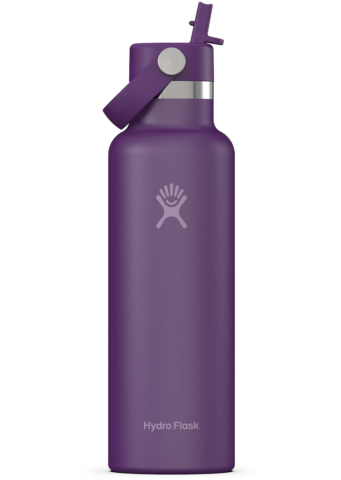 Hydro Flask 21 Oz Standard Mouth Bottle with Flex Straw Cap Beachplum Purple