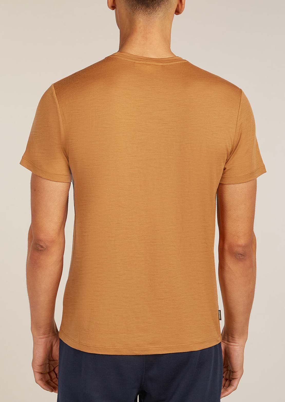 Icebreaker Men's Merino 150 Tech Lite Bear Tour T-Shirt Trail