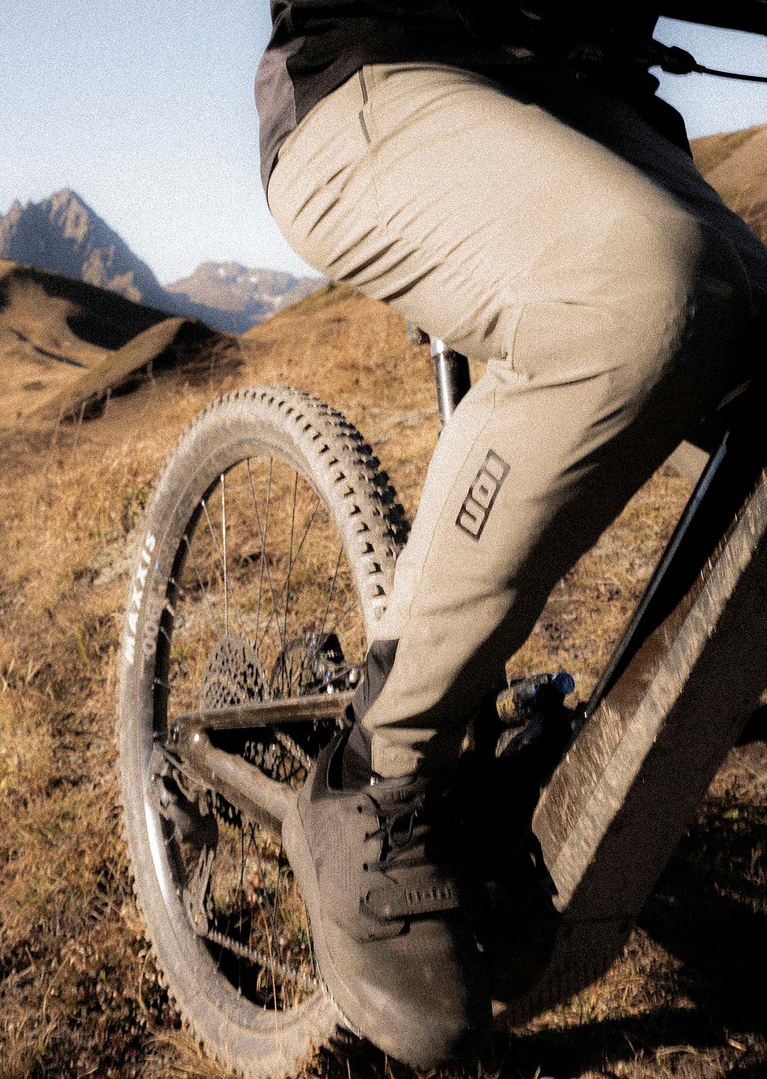ION Men's Ionic LT Bike Pants Dusty Leaves