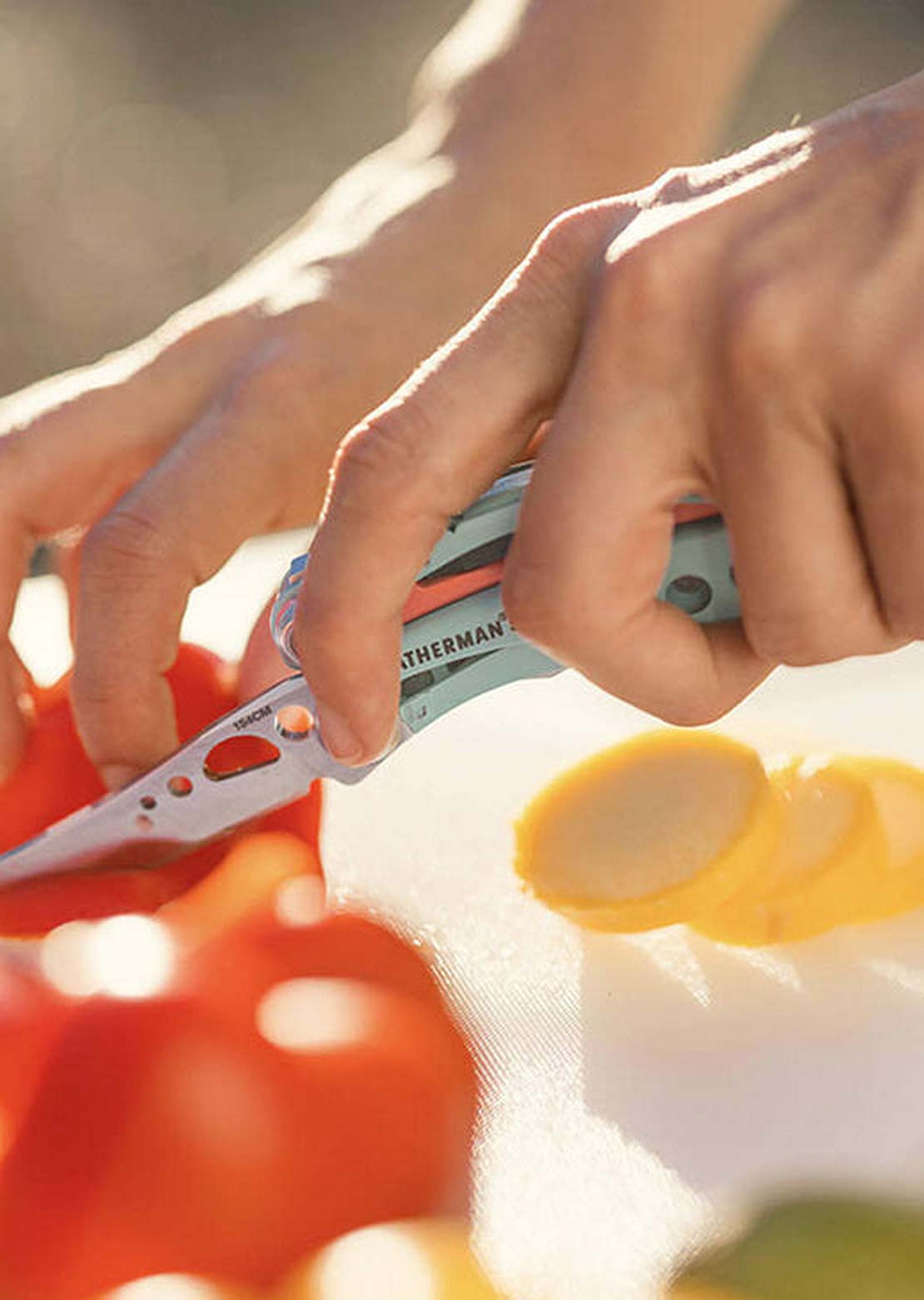 Leatherman CX Skeletool