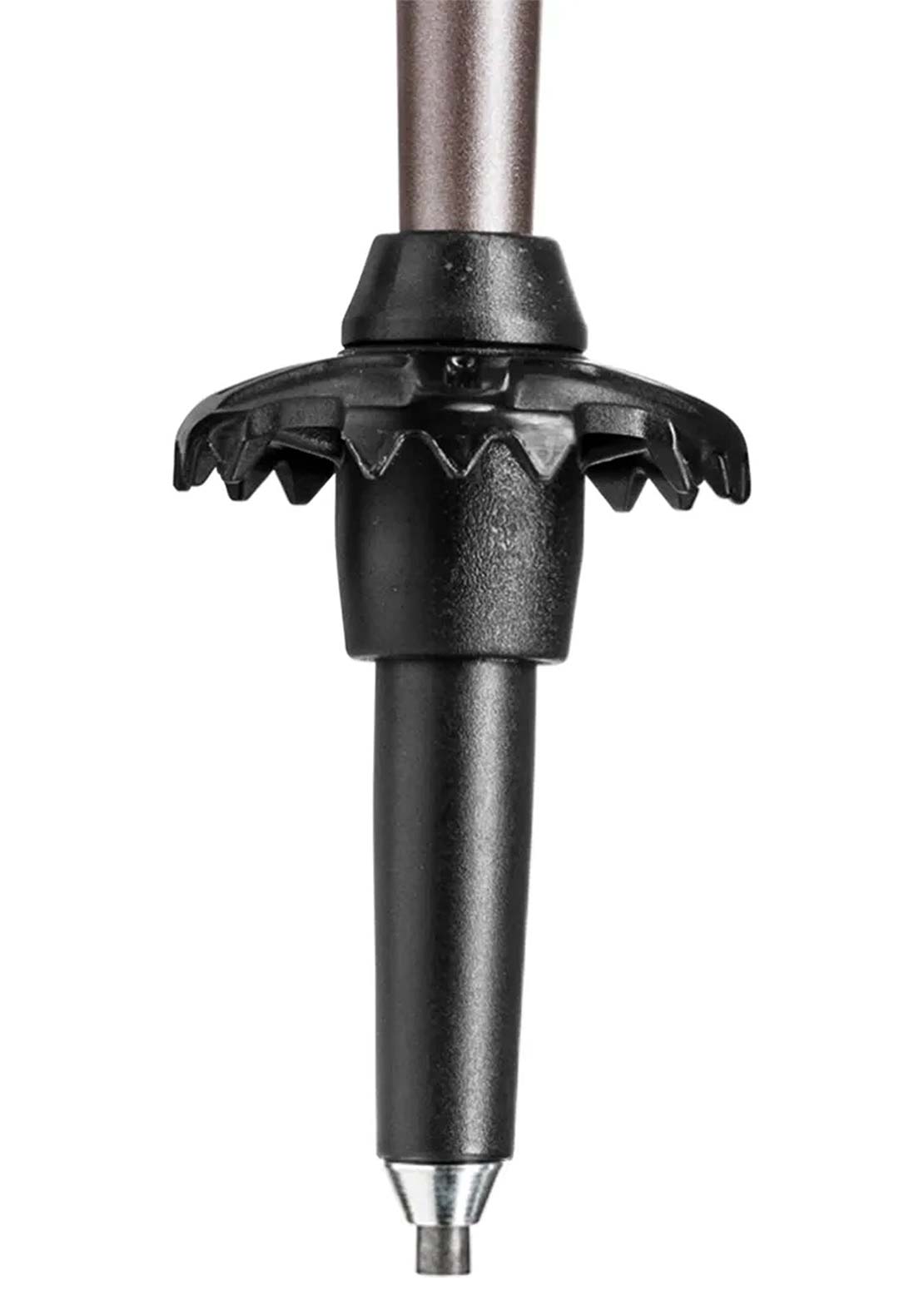 Leki Women's Cressida FX Carbon Trekking Poles Brown Metallic/Mint