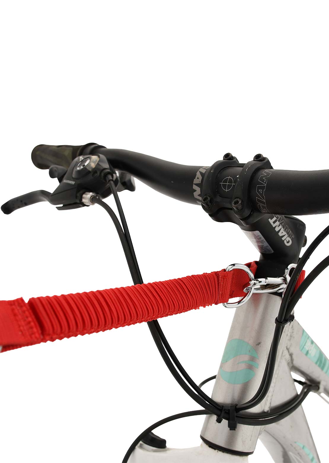 Mdxone Retactable Bike Leash With 2.5m X 1cm Red Ruban & 9" Bungee With Spring Clip