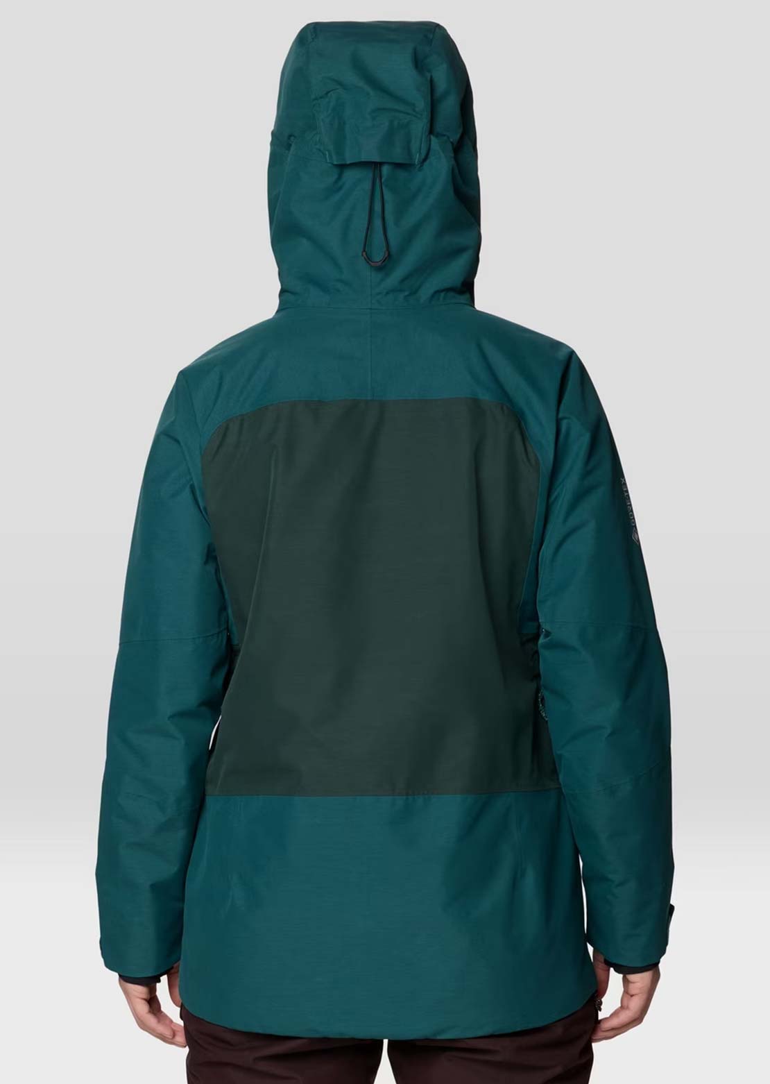 Mountain Hardwear Women's Cloud Bank GORE-TEX Jacket
