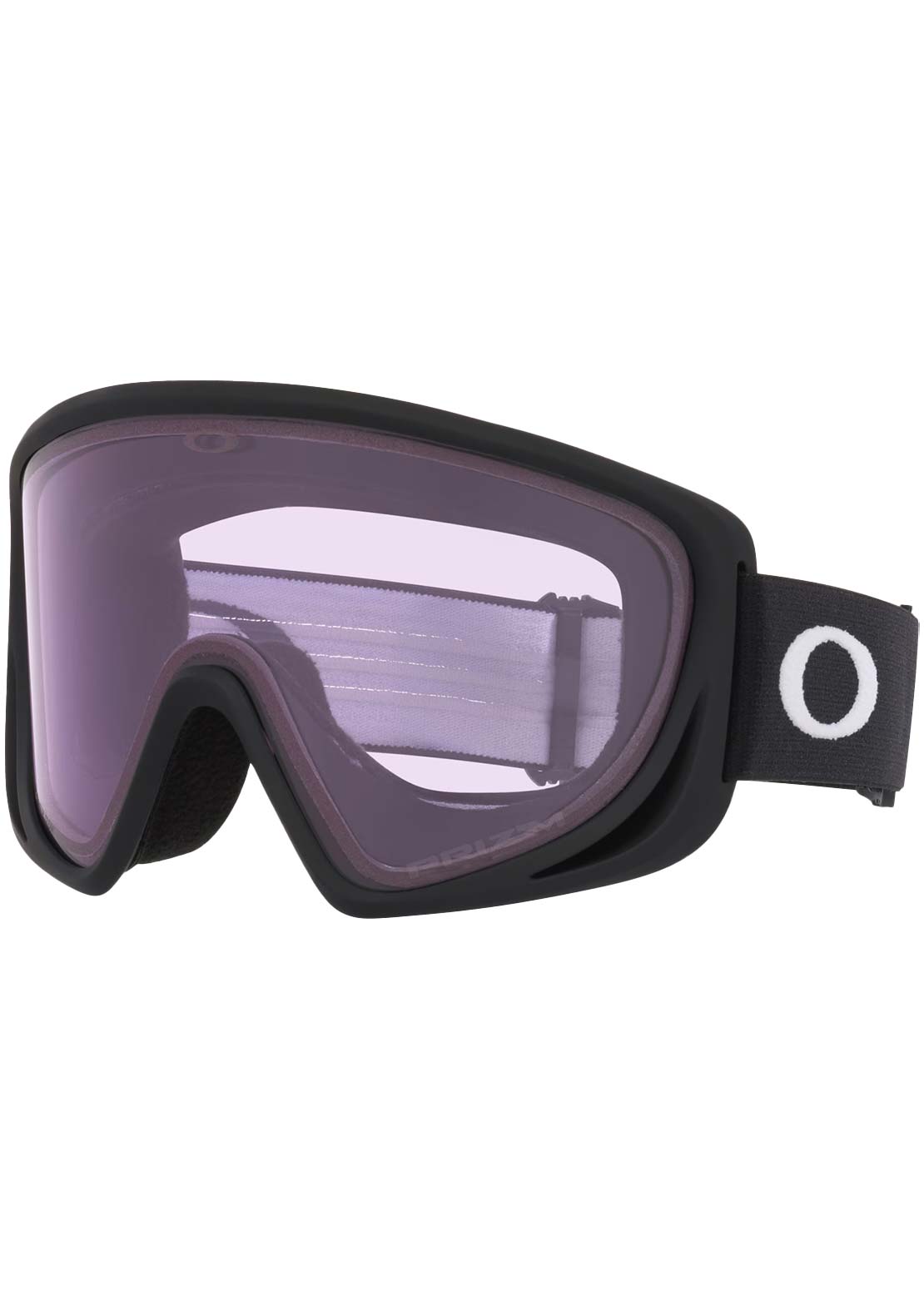 Oakley Unisex Mont Scape L Goggles