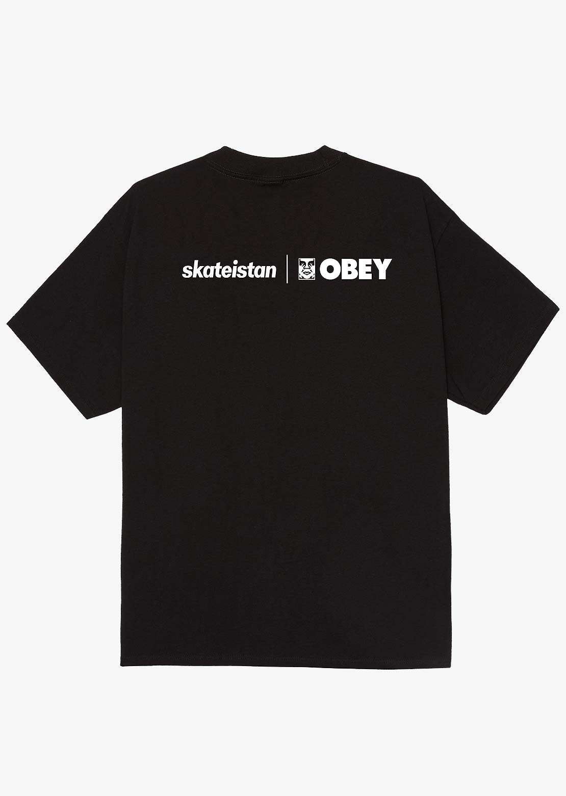 Obey Men's Skateistan T-Shirt Black