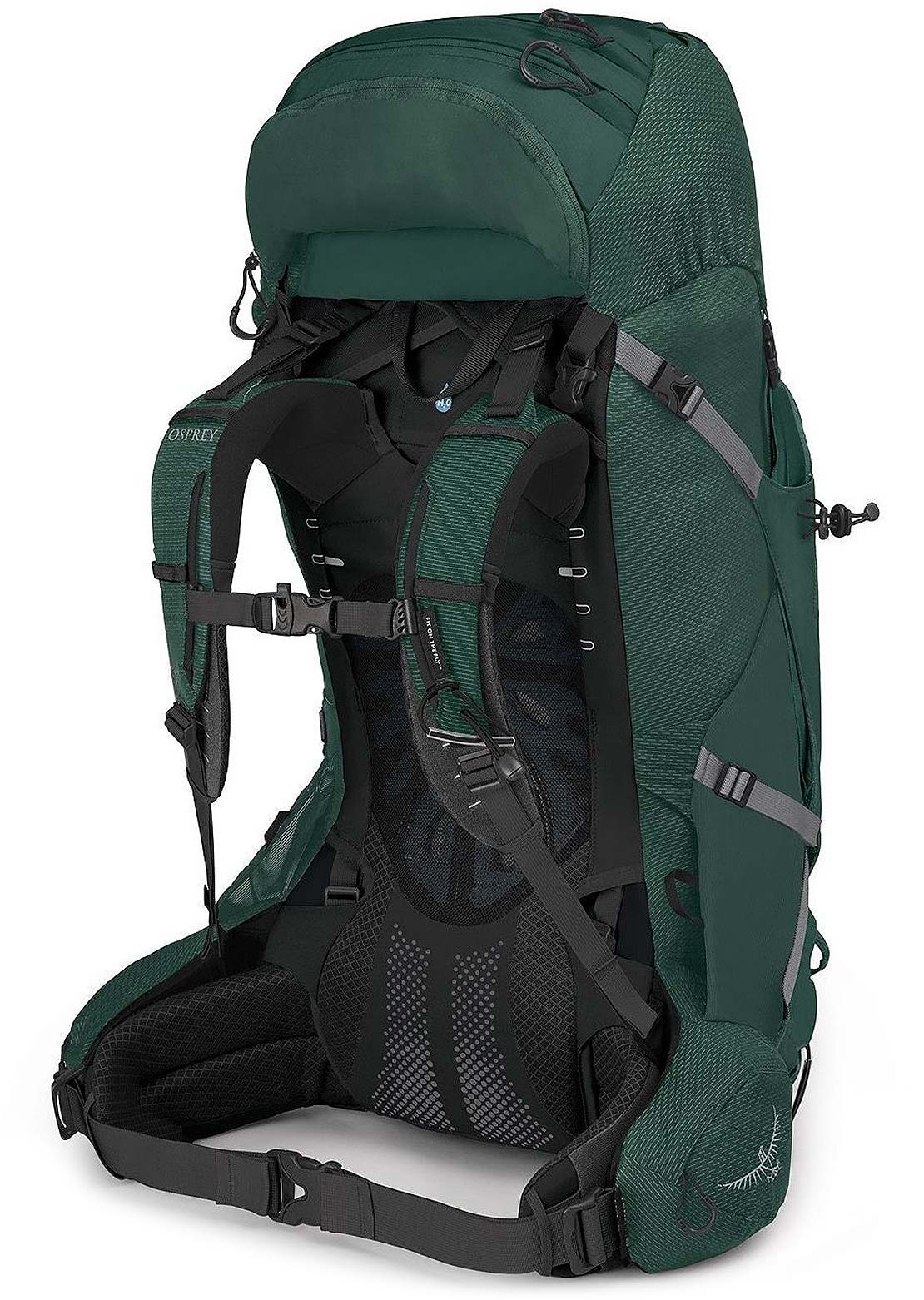 Osprey Men&#39;s Aether Plus 60 Backpack Axo Green