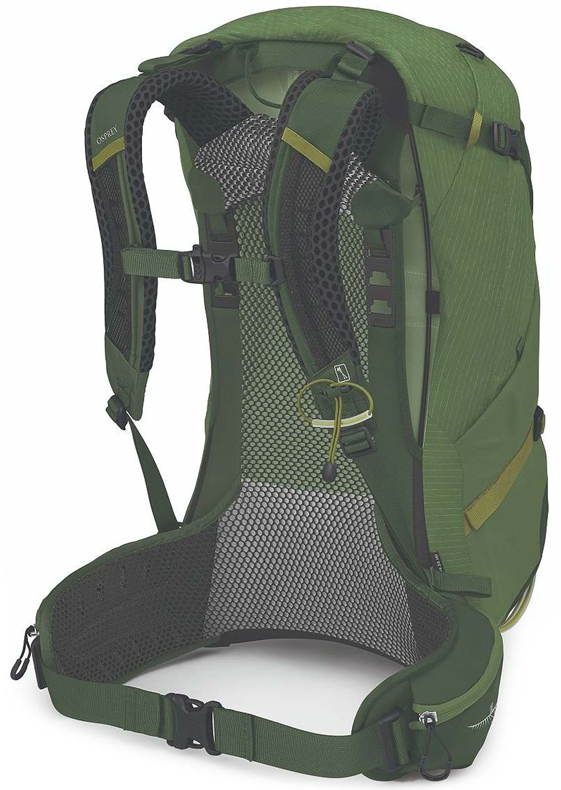 Osprey Men&#39;s Stratos 34 Hiking Backpack Seaweed/Matcha Green