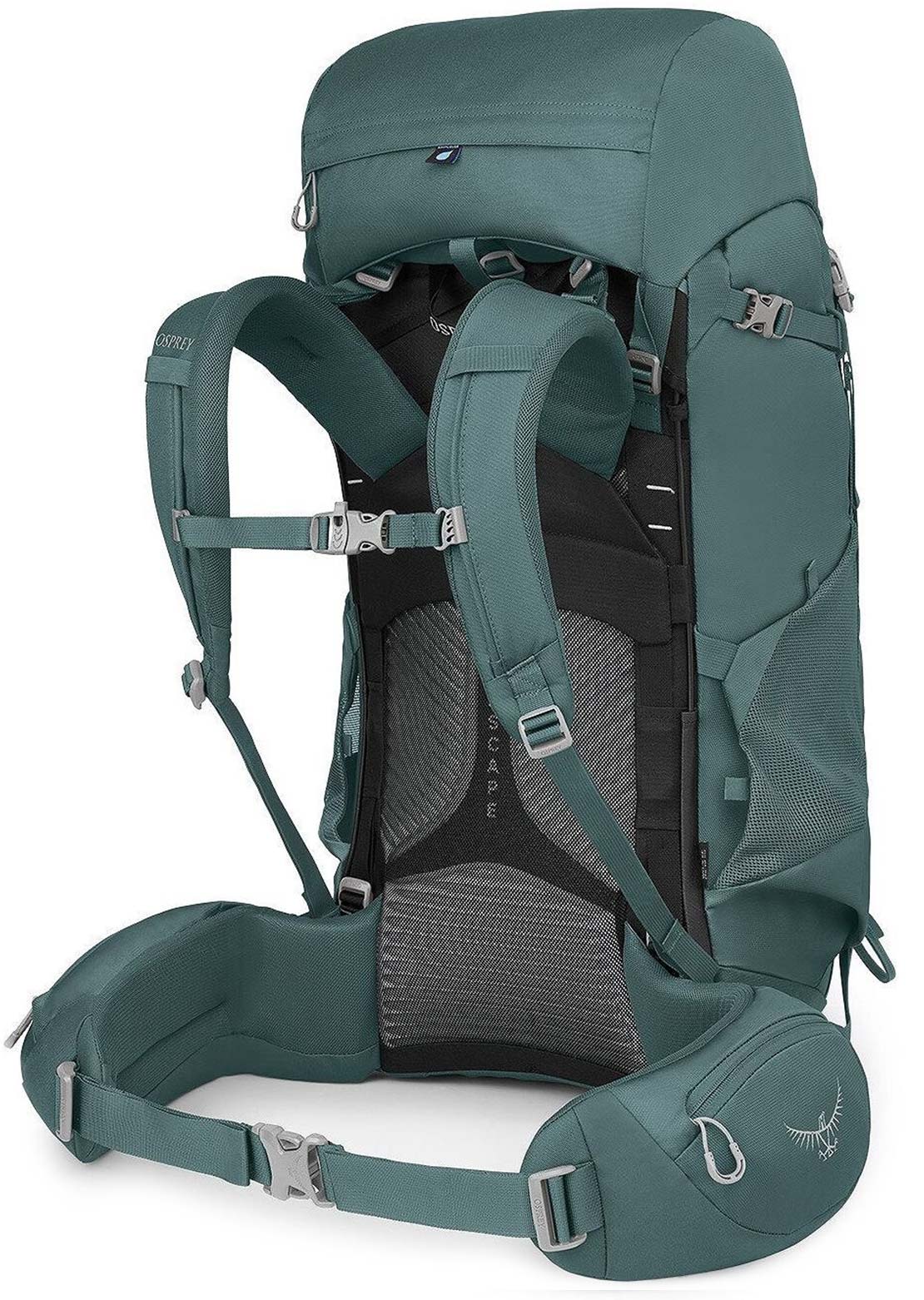 Osprey Women's Viva 65 Succulent Hiking Backpack Succulent Green
