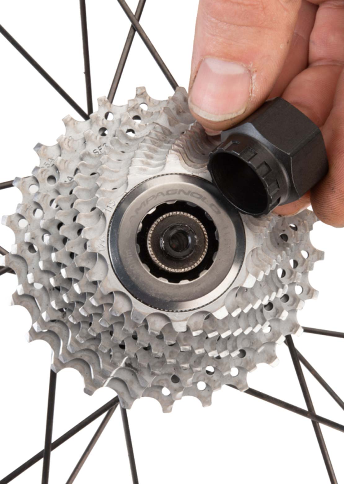 Park Tool BBT-5/FR-11 Campagnolo Bottom Bracket and Cassette Lock Ring Tool