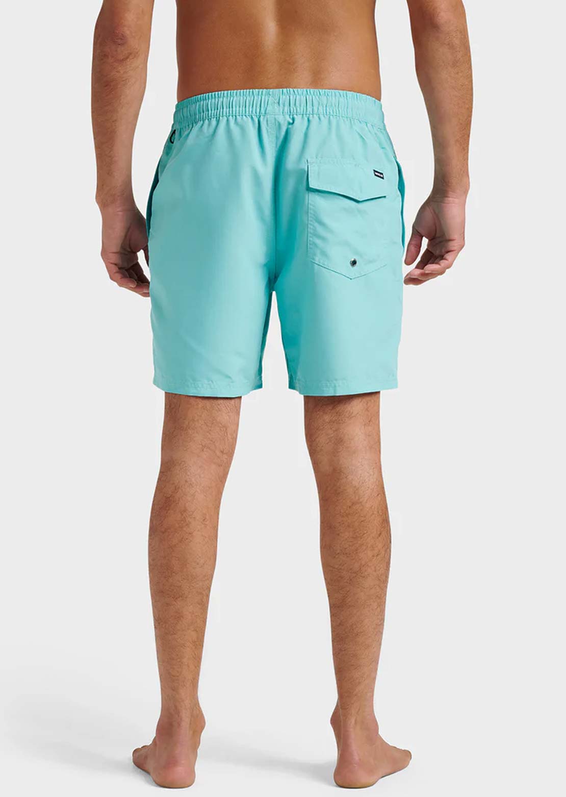 Quiksilver Men's Everyday Solid Volley 17 Shorts Aqua