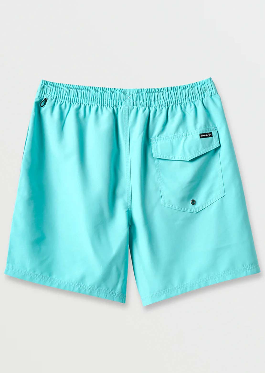 Quiksilver Men's Everyday Solid Volley 17 Shorts Aqua