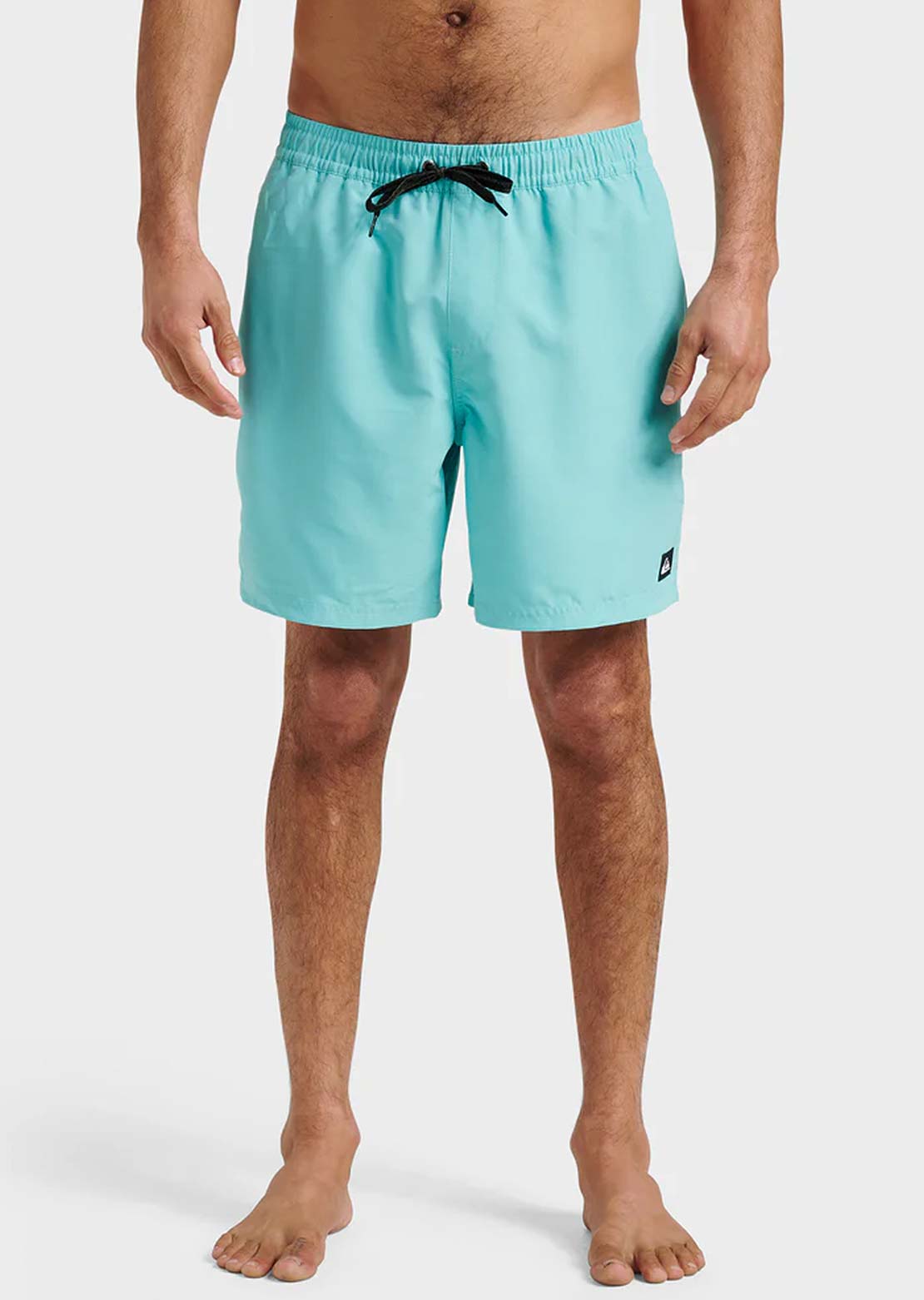 Quiksilver Men's Everyday Solid Volley 17 Shorts Aqua