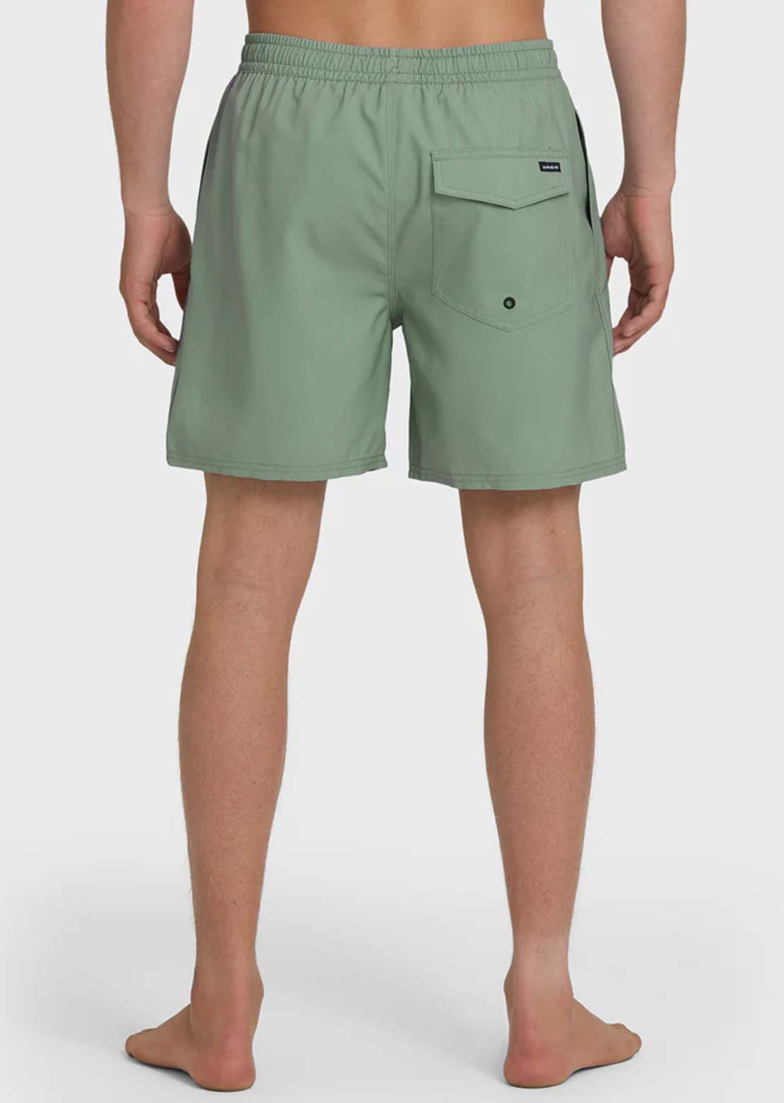 Quiksilver Men's Everyday Solid Volley 17 Shorts Lily Pad