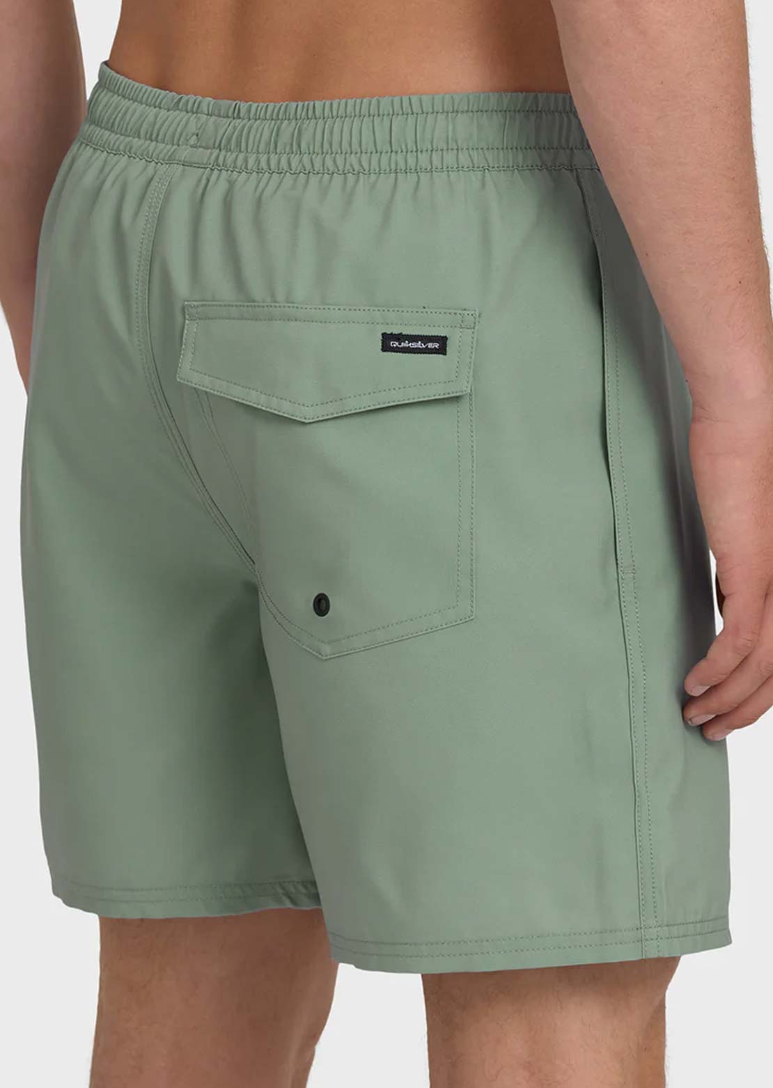 Quiksilver Men's Everyday Solid Volley 17 Shorts Lily Pad