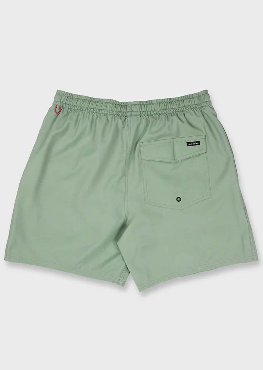 Quiksilver Men's Everyday Solid Volley 17 Shorts Lily Pad
