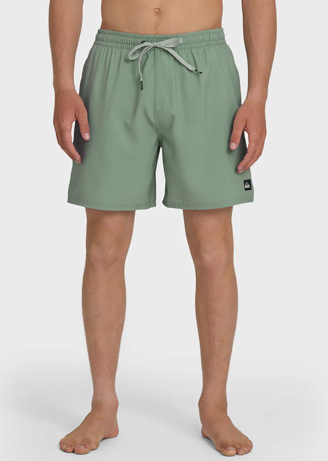 Quiksilver Men's Everyday Solid Volley 17 Shorts Lily Pad
