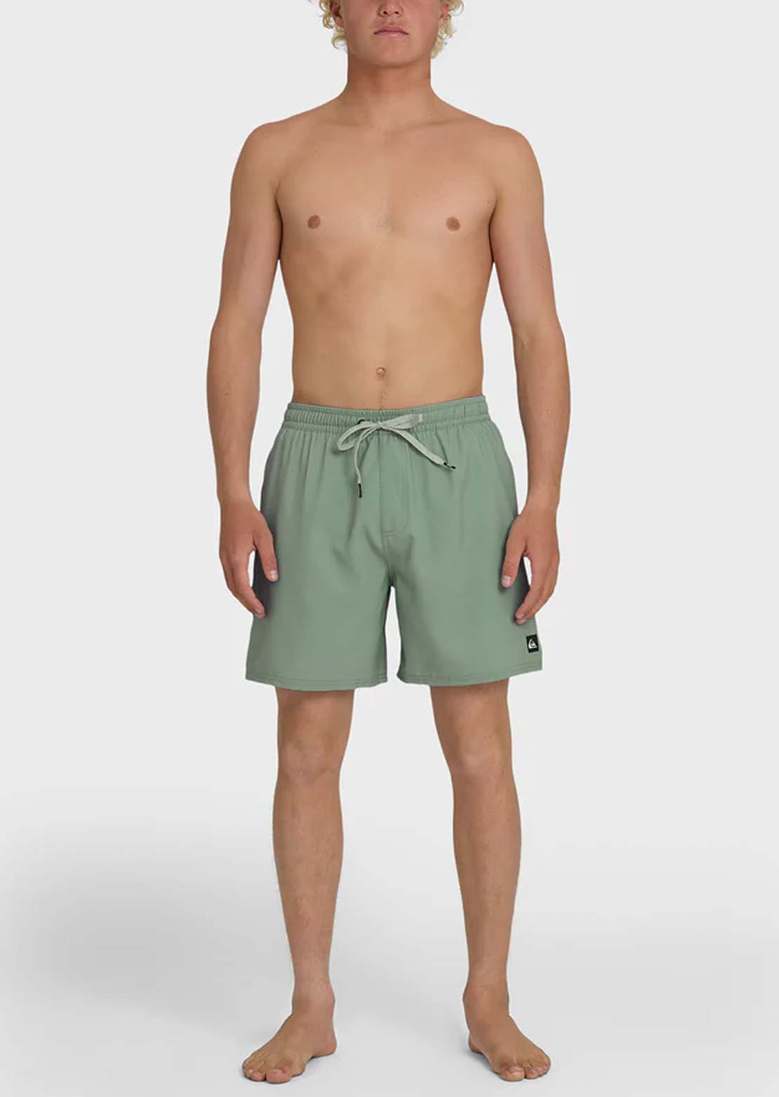 Quiksilver Men's Everyday Solid Volley 17 Shorts Lily Pad